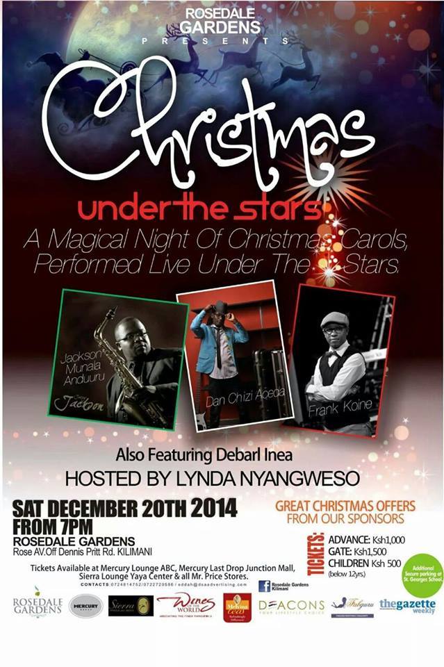 Christmas Under The Stars2